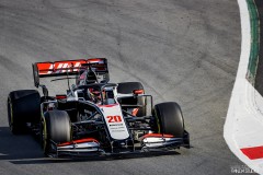 Magnussen-Haas