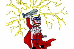 Victoire de Jerome d\'Ambrosio en FE